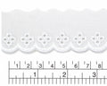 Broderie blanco  3.5 cm paquete de 150 yardas BP5