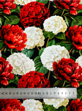 Algodon Sublimado Negro Rojo TFC35
